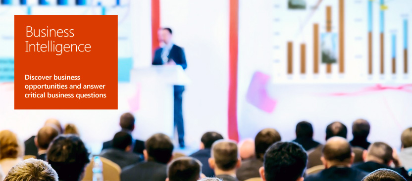 Business Intelligence